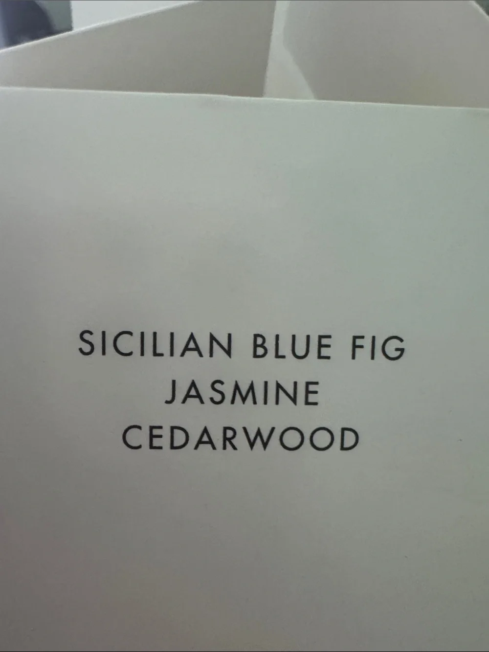 Dolce & Gabbana Blue Jasmine EDP 75 ml NWT